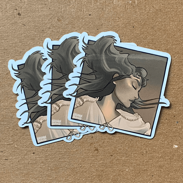 Eras Album Cover Sticker Set 